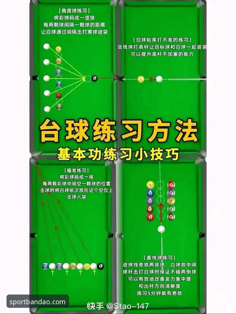 半岛官方入口 半岛体育平台实用指南:新手必备的入门知识与技巧